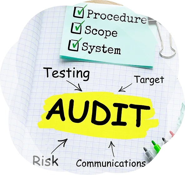 Lawyer Site auditing