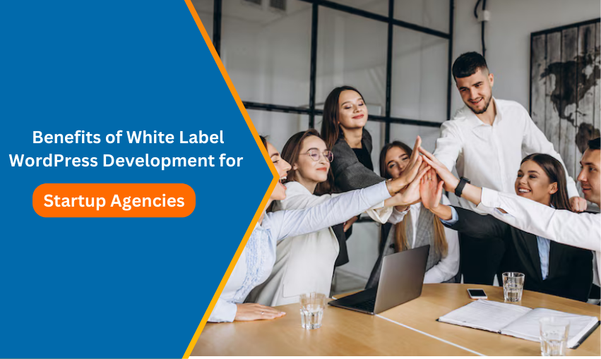 Benefits of White Label WordPress Development For Startup Agencies